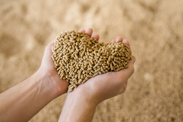 Planta de alimentos balanceados